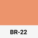 812131-similares-BASE STICK BOCA ROSA BR22 15G.jpg